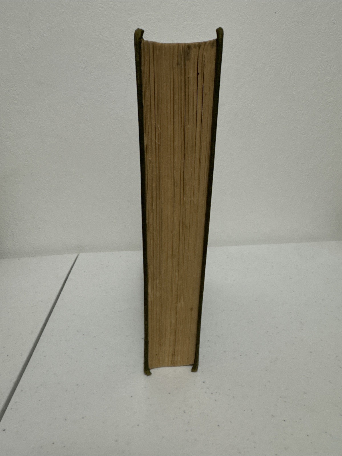 Idle Days in Patagonia by W.H. Hudson-First American Edition-1917
