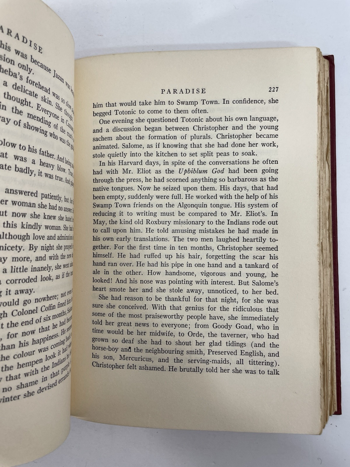 Paradise Esther Forbes 1937 Harcourt Brace and Company Hardcover
