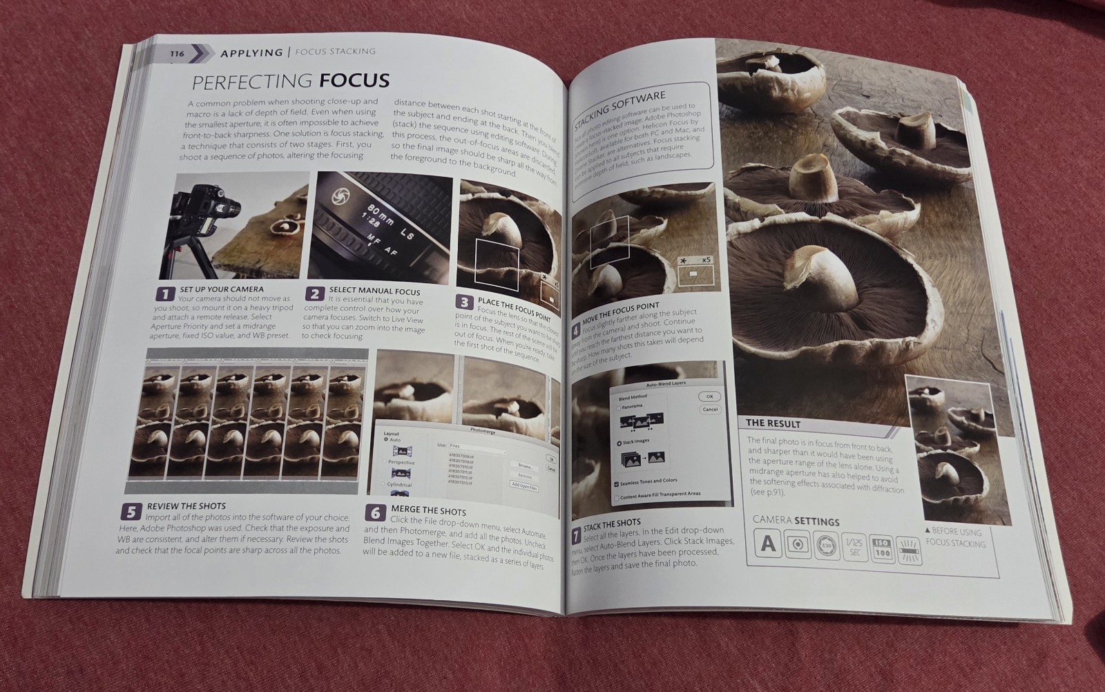 The Advanced Photography Guide: Expert Techniques to Take Your Digital Photo…