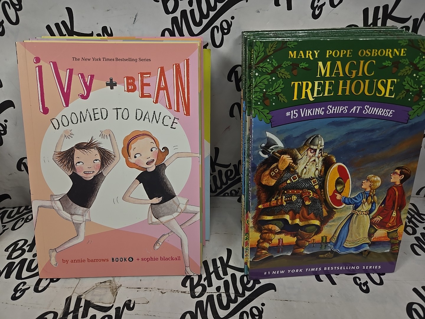 Magic Tree House & Ivy & Bean Chapter Book Lot of 22 Early Reader Books Ages 6-9