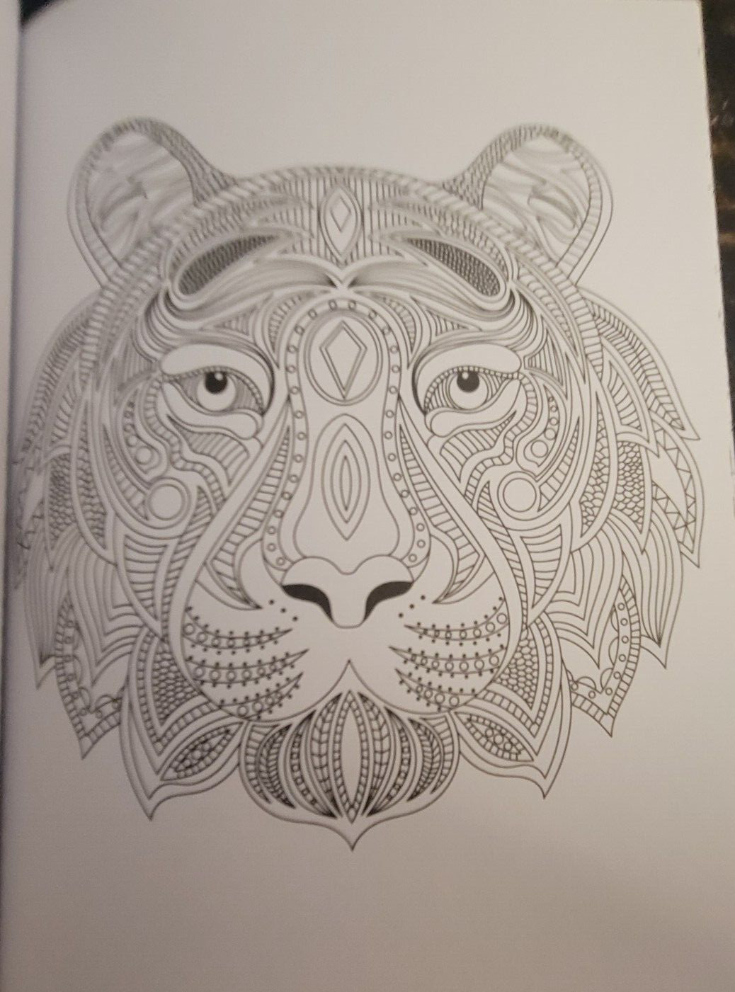 COLORS OF THE WILD Vol 22 Adult Coloring Book With 47 Prints Ready To Frame