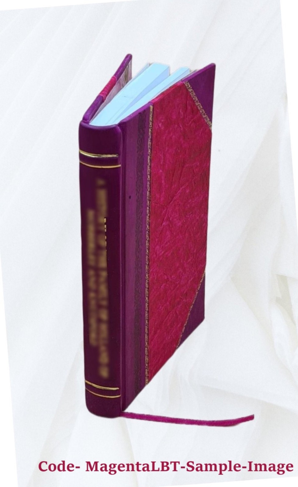 Rudra-S?iva 1941 by N Venkata Ramanayya [Leather Bound]