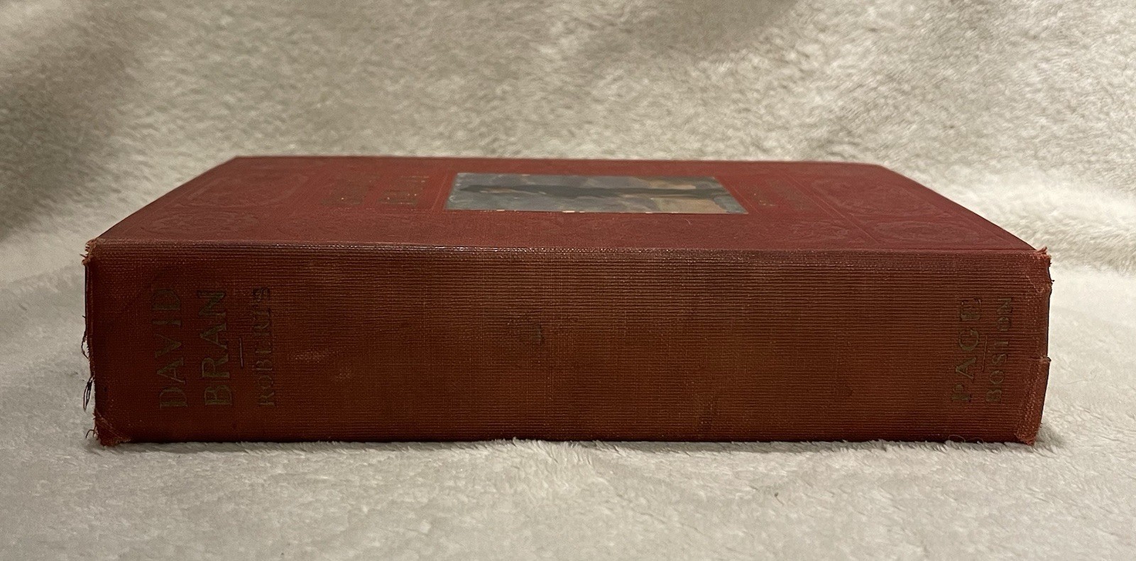 David Bran by Morley Roberts HC 1909