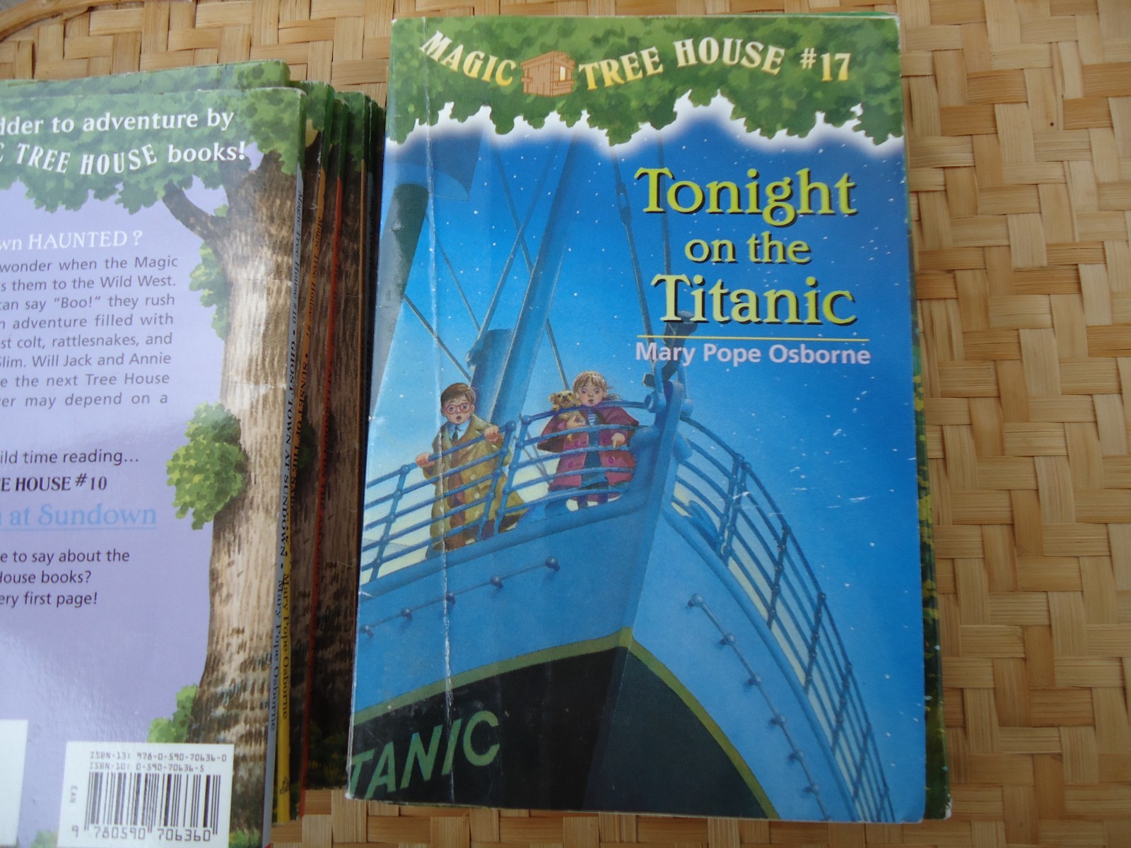 Magic Tree House Lot 11 Books Mostly PB No Repeats Childrens Historical Fiction