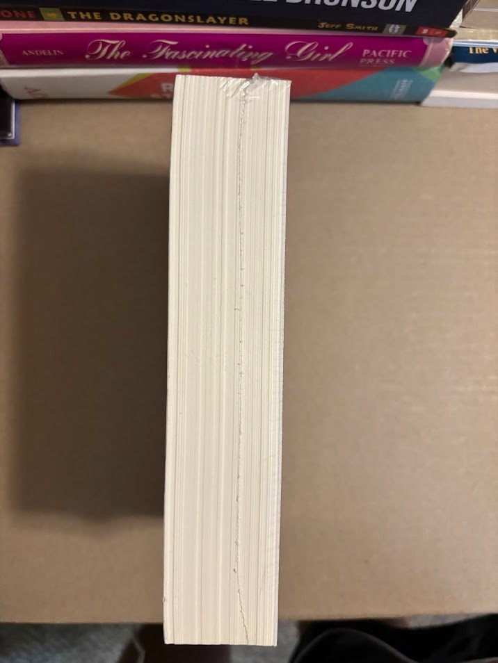 Diary of Saint Maria Faustina Kowalska: Divine Mercy in My Soul (Paperback or So