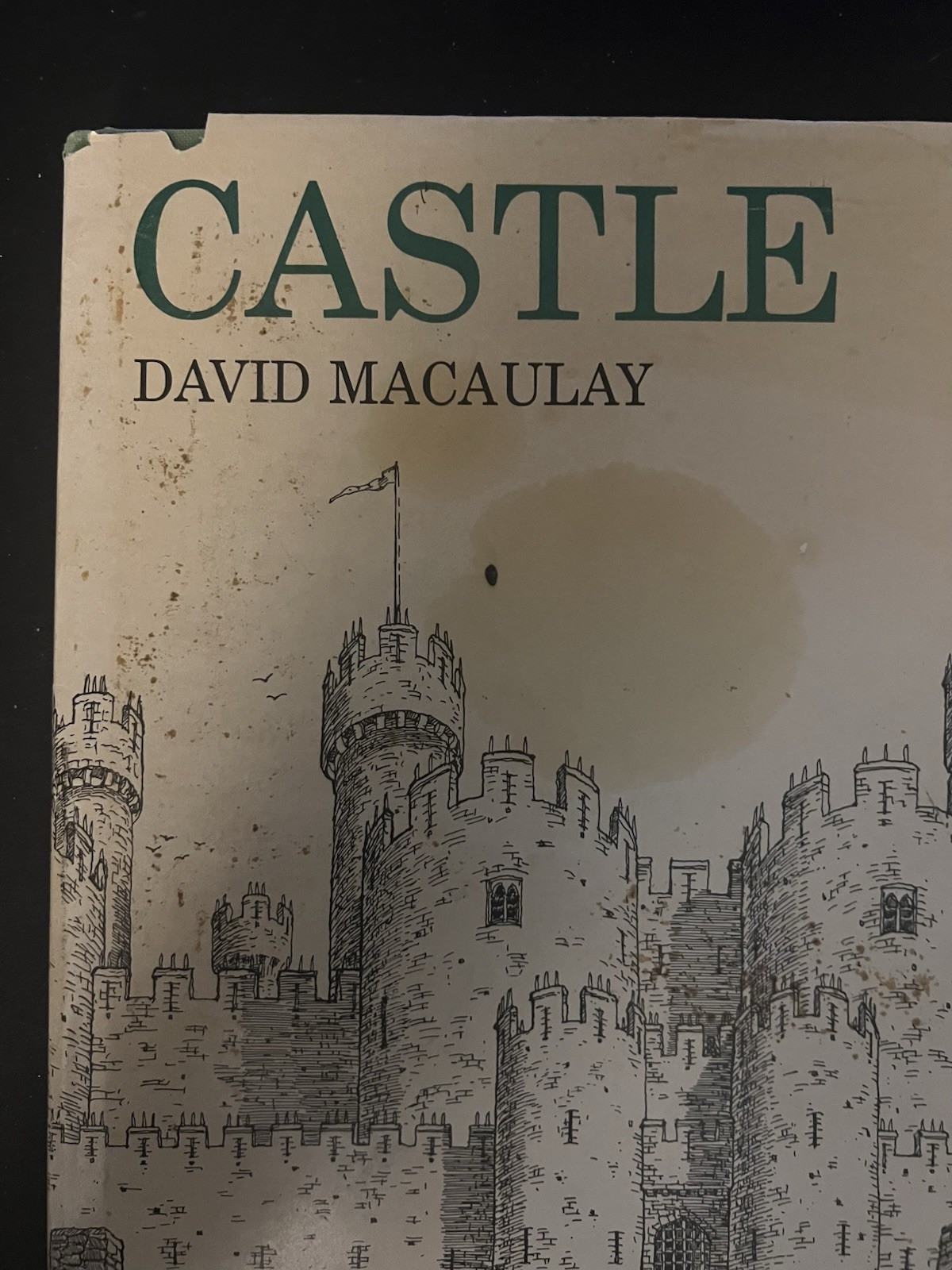 ‘Castle’ by David Macaulay (1977 HC DJ) Free Boxed Shipping!