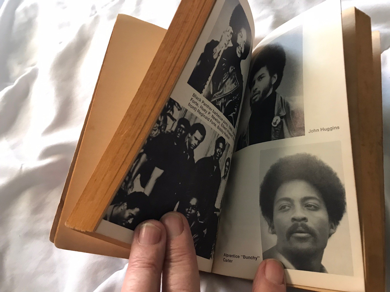 Revolutionary Suicide – Huey Newton BB PB 1st Edit. ’74 (Founder -Black Panther)