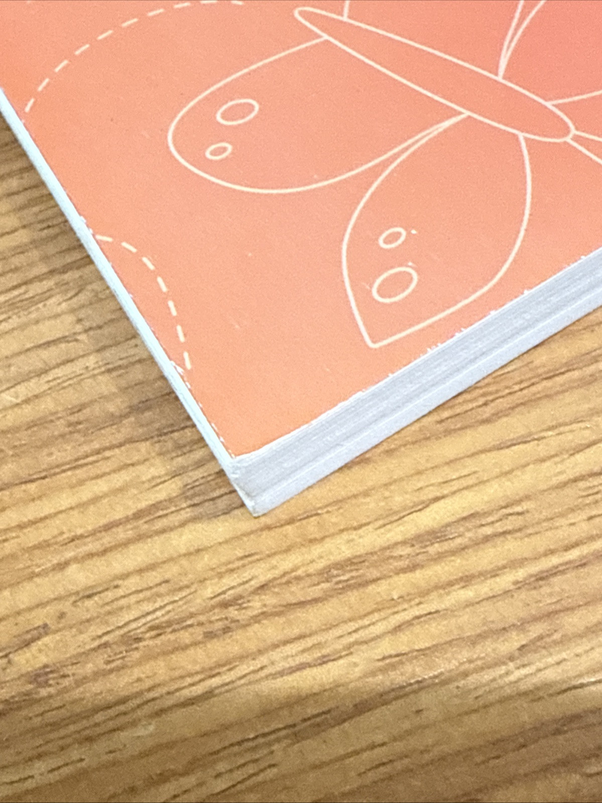Amplify Core Knowledge Language Arts Skills 5 Activity Book Kindergarten