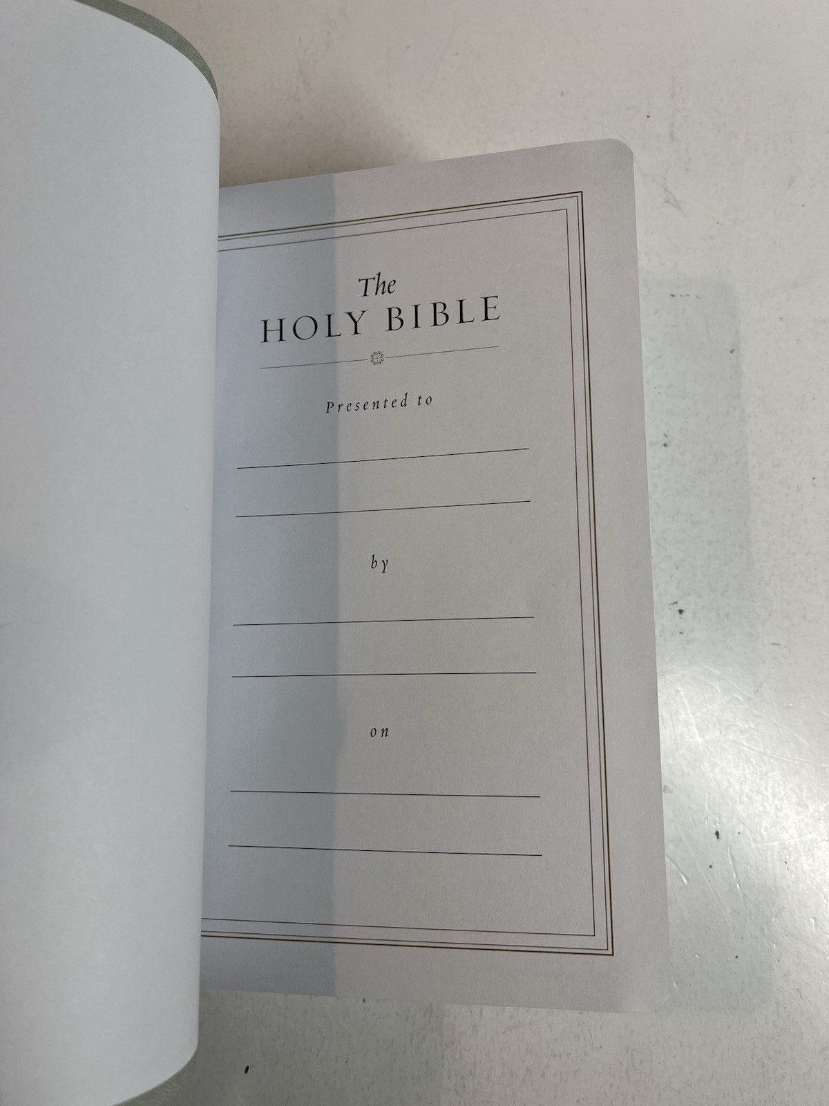 ESV Large Print Value Thinline Bible (Trutone, River Stone, Branch Design)