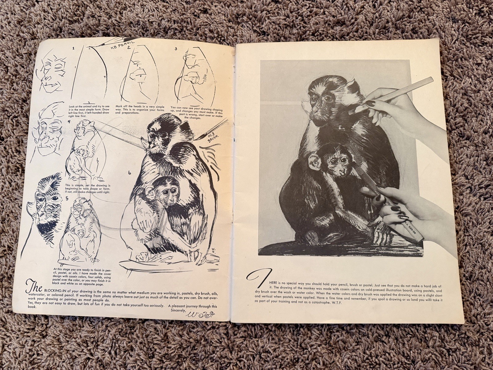 Vintage How to Draw Animals By Walter T Foster Art Instruction Book