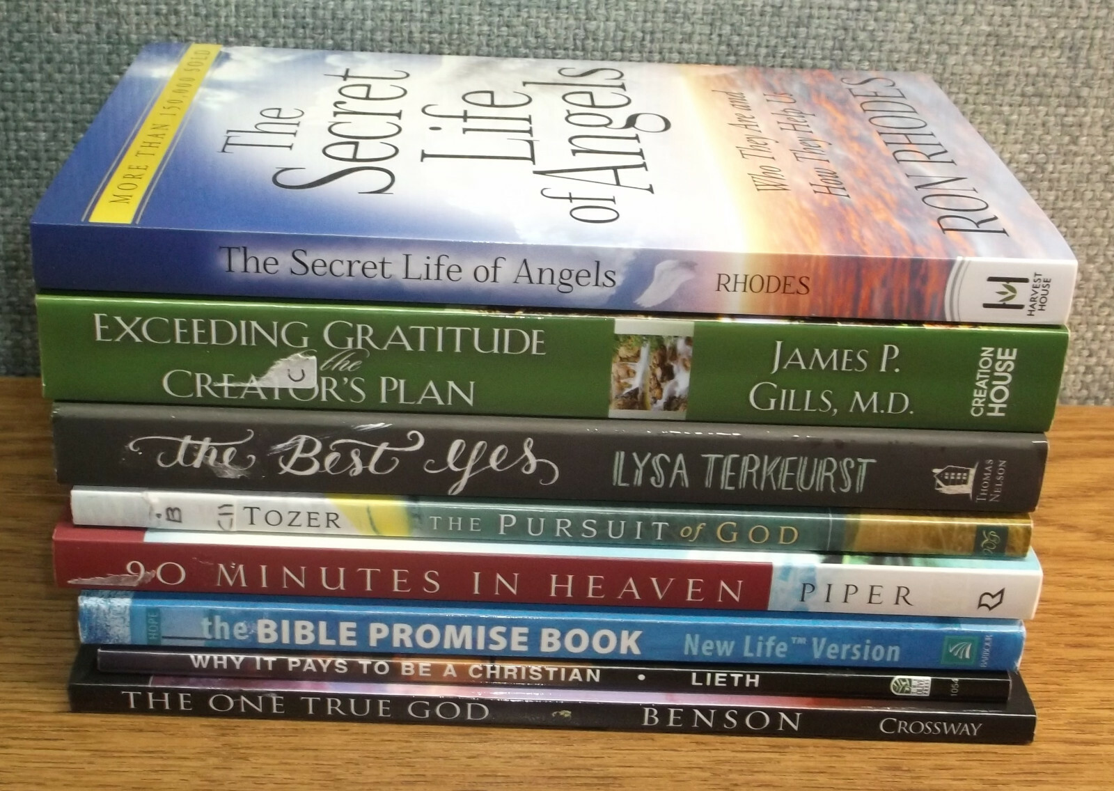 LOT Christian Faith Secret Life of Angels Creator’s Plan Bible Promise Book God