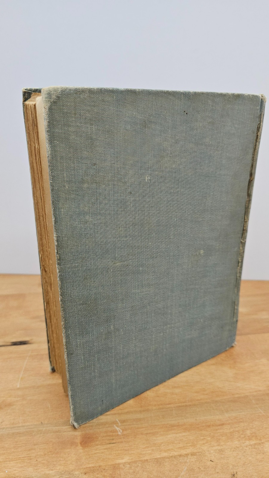1904 “Bible Symbols or The Bible in Pictures” by Frank Beard Antique