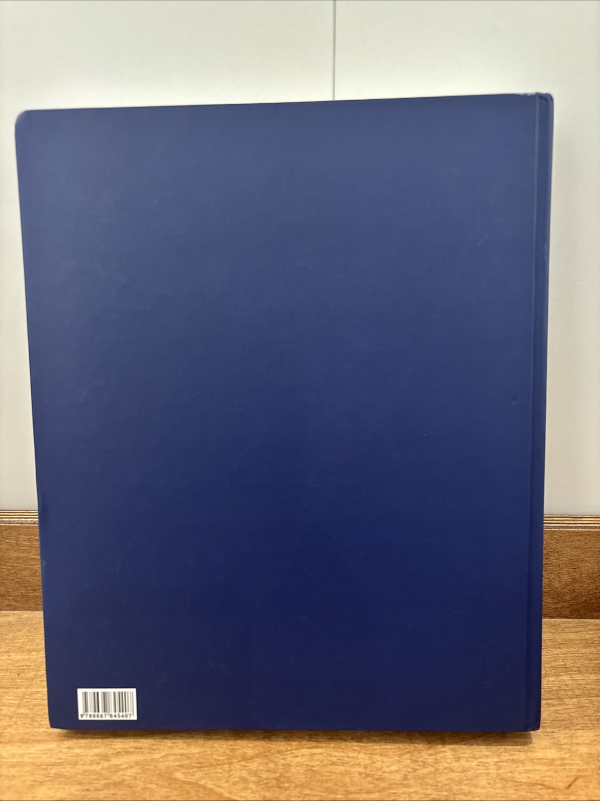 Cossack Mamai by V. St. Bushak and I. Sakharuk (2010, Hardcover)