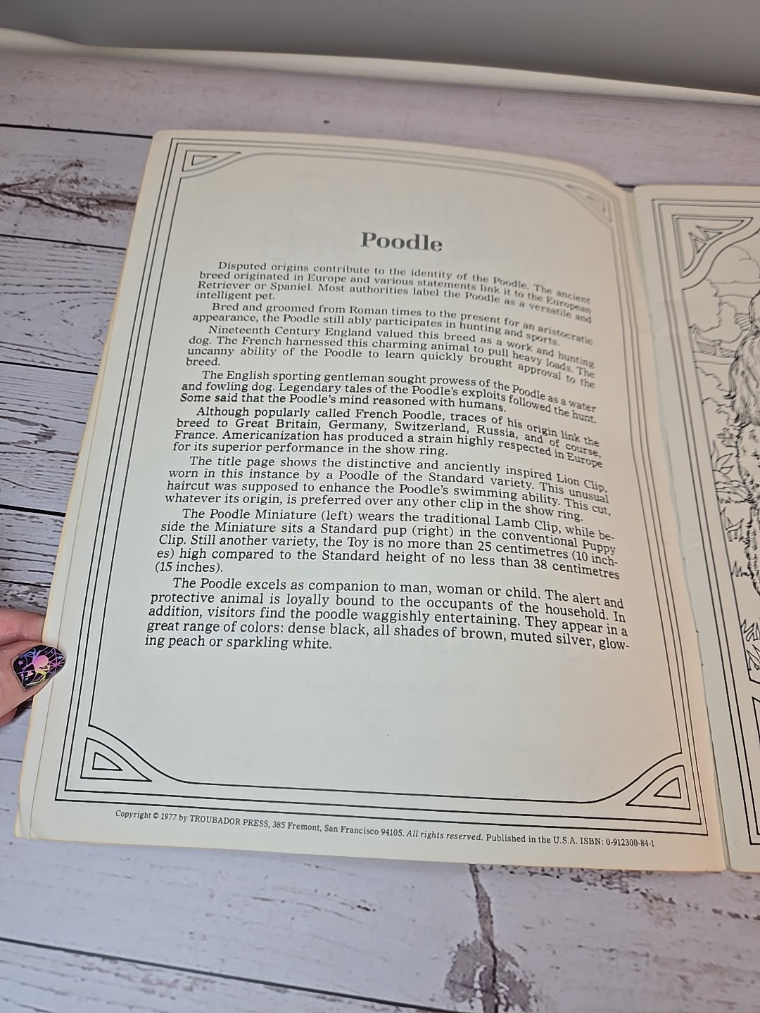 Rita WarnerDogs & Puppies Coloring Album Book Vintage Copyright 1977