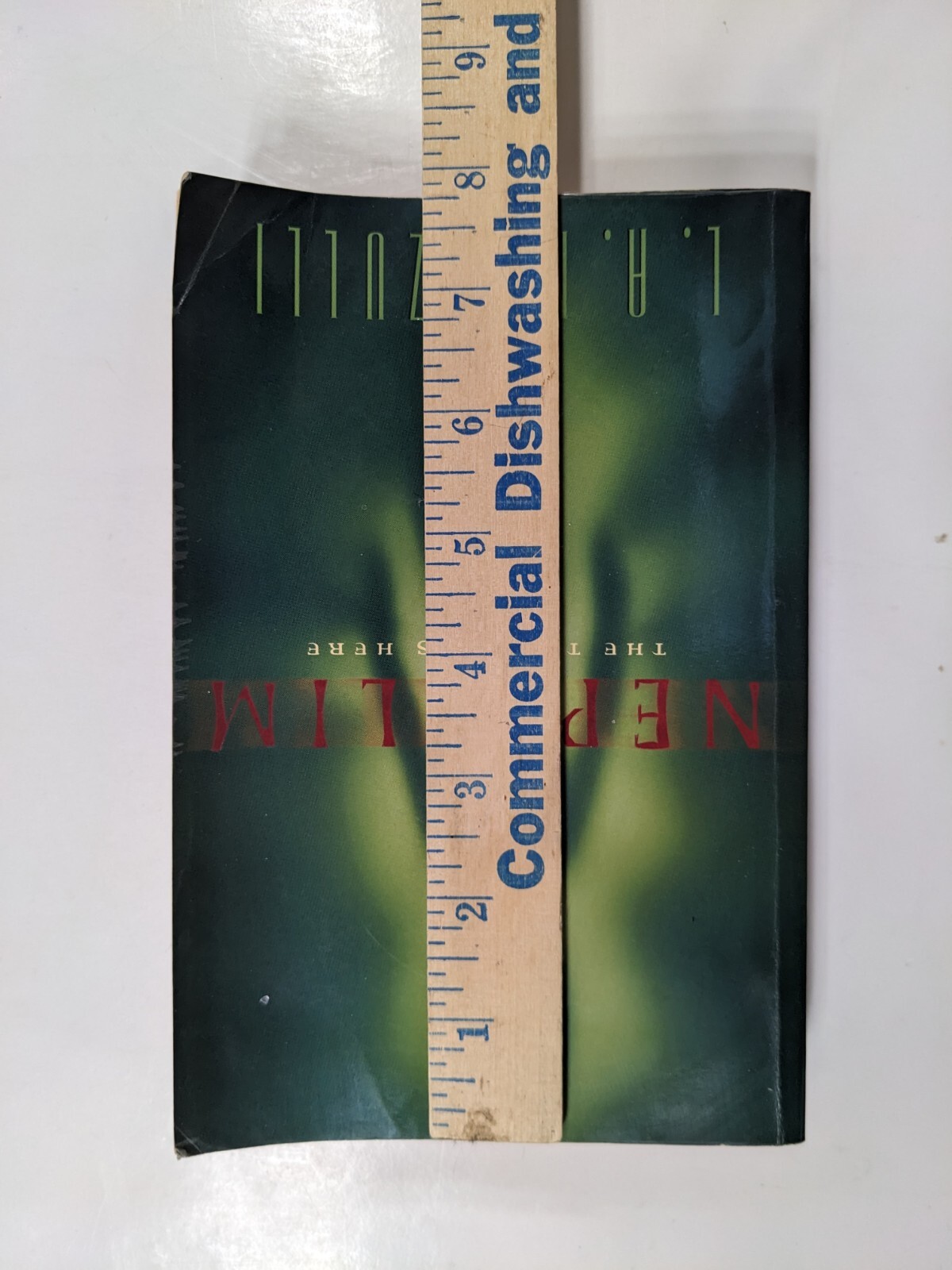 Nephilim The Truth Is Here book author L. A. Marzulli