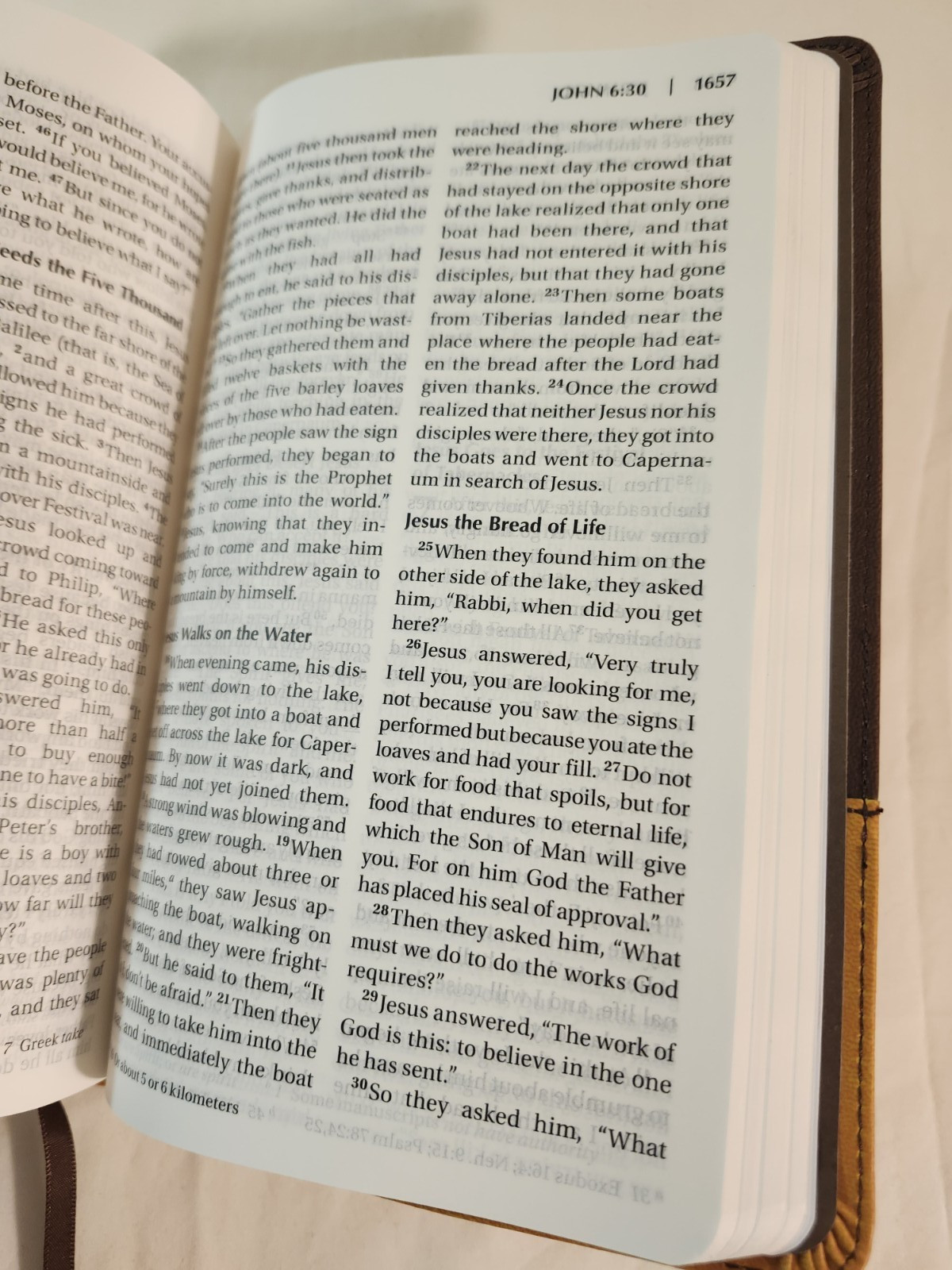 NIV Bible Zondervan Personal Size Large Print Leathersoft Chocolate/Amber 2011