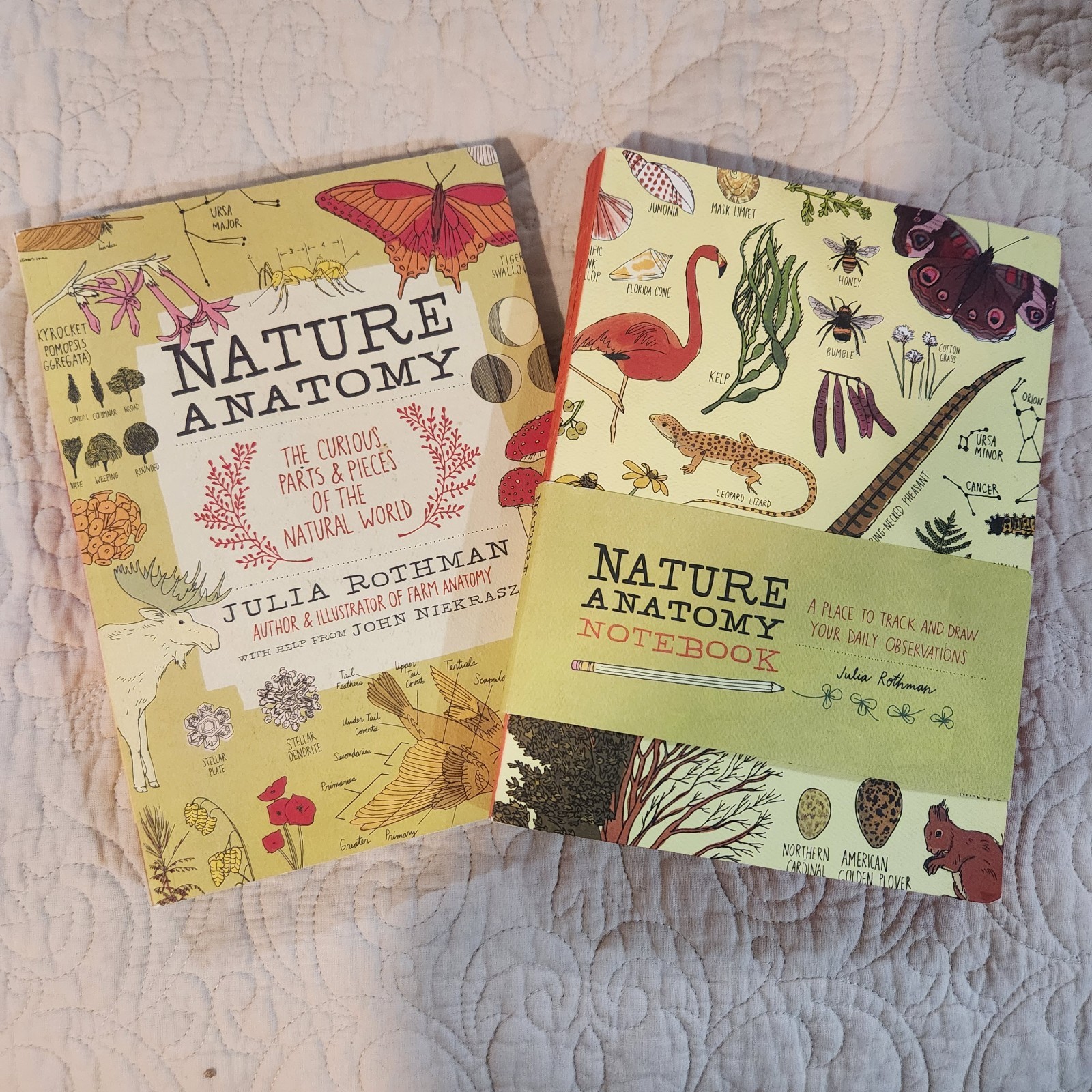 Nature Anatomy, Julia Rothman, Textbook and Notebook, Brandon New!!