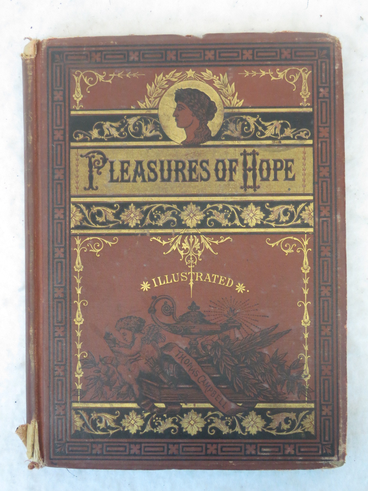 Thomas Campbell THE PLEASURES OF HOPE Illustrated American News Company