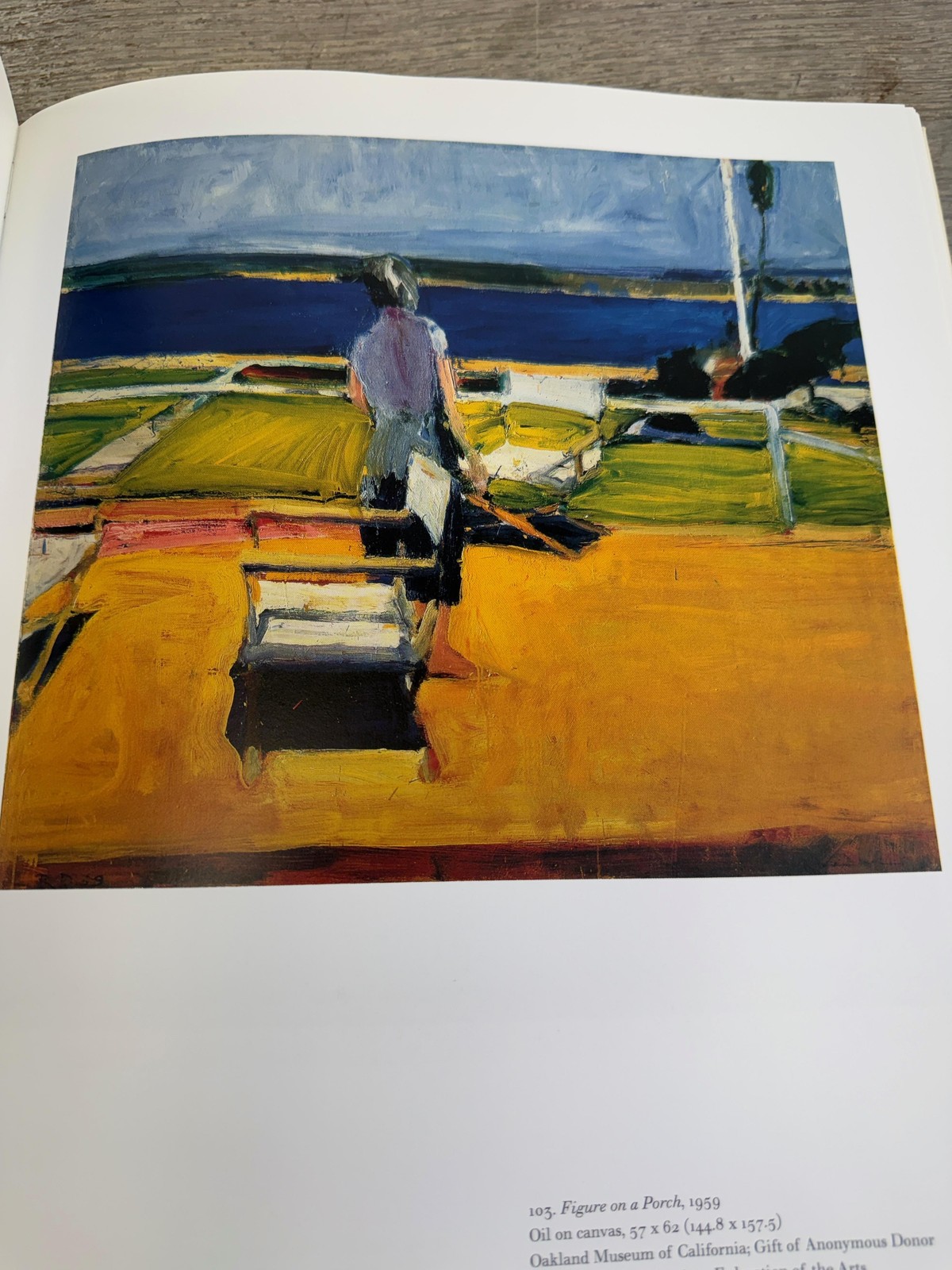 Vintage 1997 The Art Of Richard Diebenkorn Livingston HC DJ Whitney Illus USA