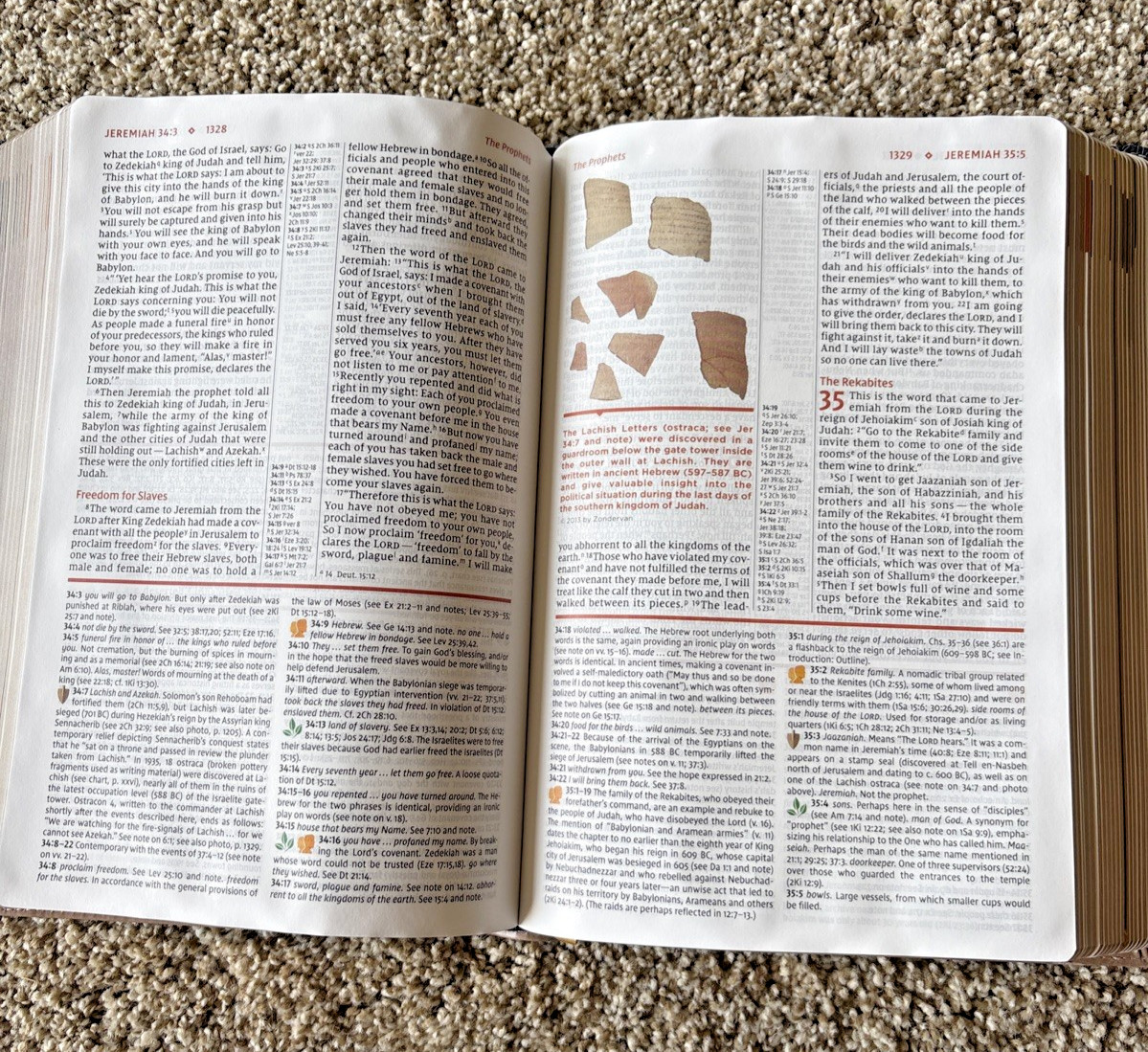 NIV Study Bible Fully Revised Edition Leather Soft Zondervan Blue/Tan