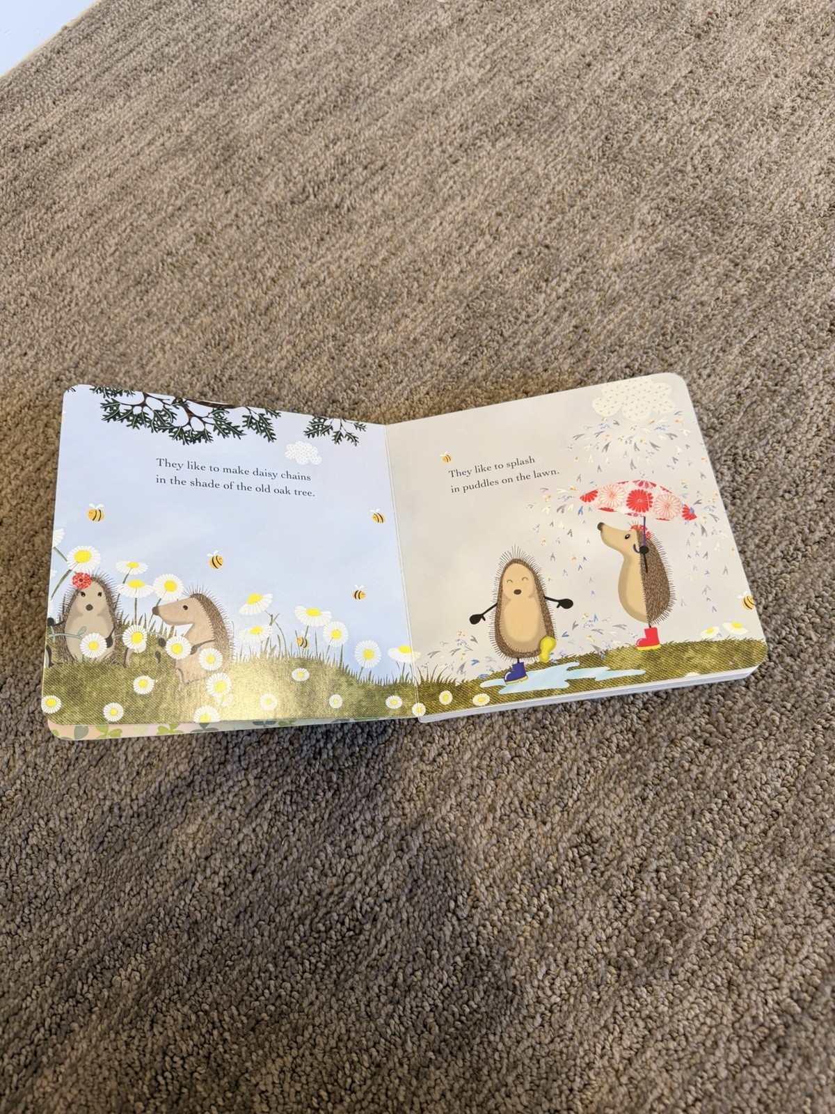 Hedgehugs by Steve Wilson (2015, Children’s Board Books)