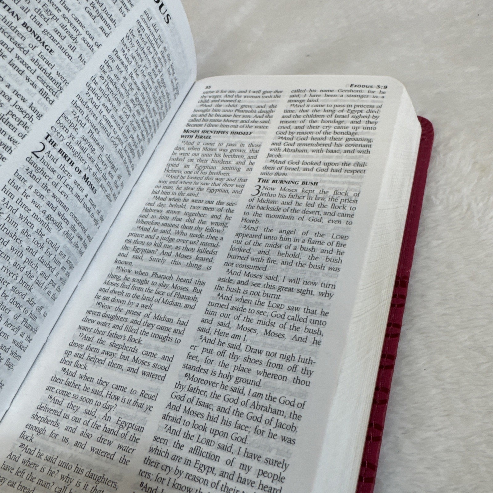 Barbour Holy Bible King James Version Pink Faux Leather KJV 9781616265229
