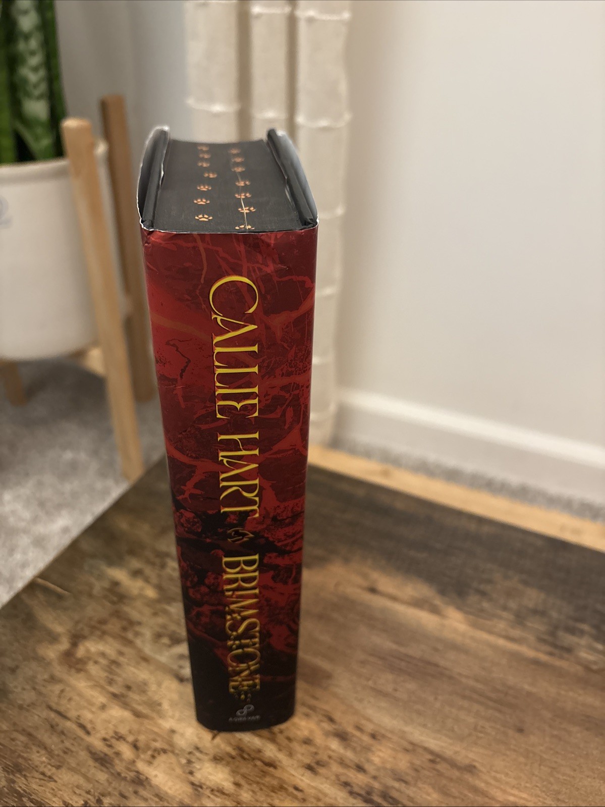Brimstone – Target Exclusive Edition – by Callie Hart (Hardcover) Painted Pages
