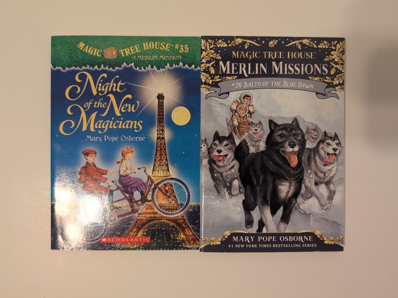 Magic Tree House Merlin Missions Lot of 20 Books Set Not Complete