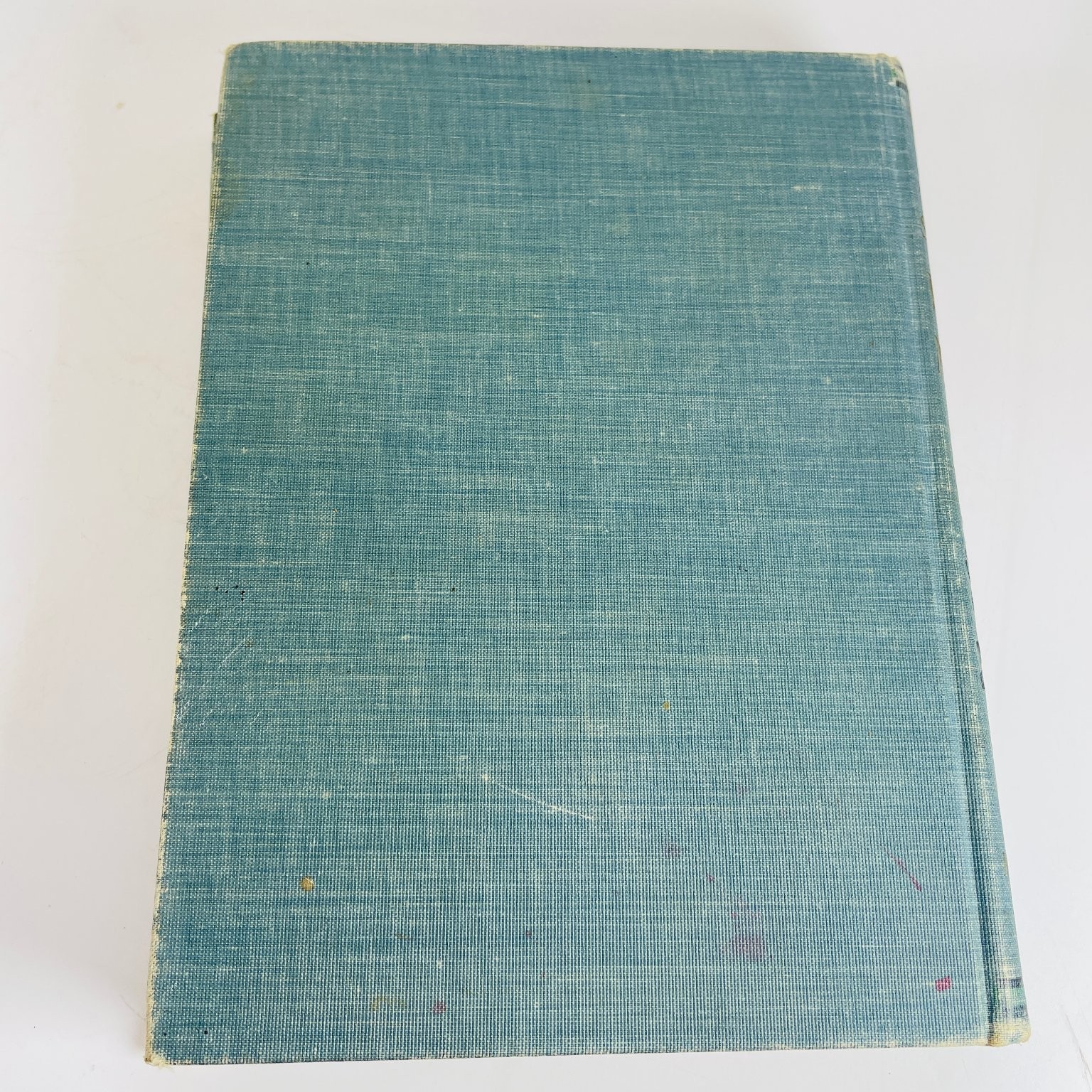 Memorial Life of William McKinley Townsend 1901 Illustrated Biography History