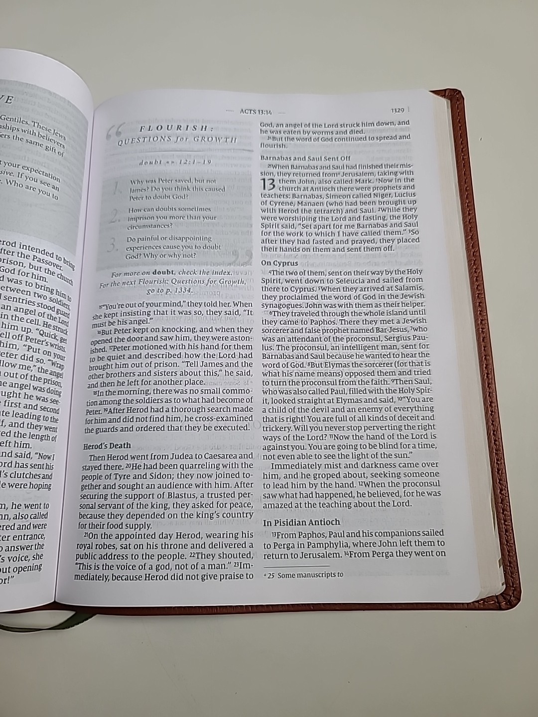 Flourish: The NIV Bible for Women, Leathersoft, Brown