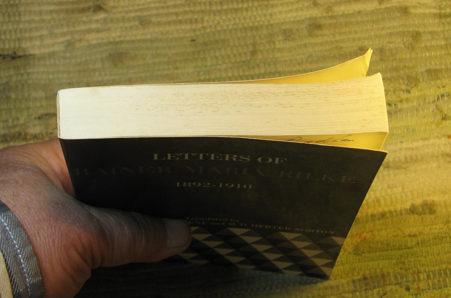 LETTERS OF RAINER MARIA RILKE 1892-1910 & 1910-1926 ©1972 Norton Library Paperba