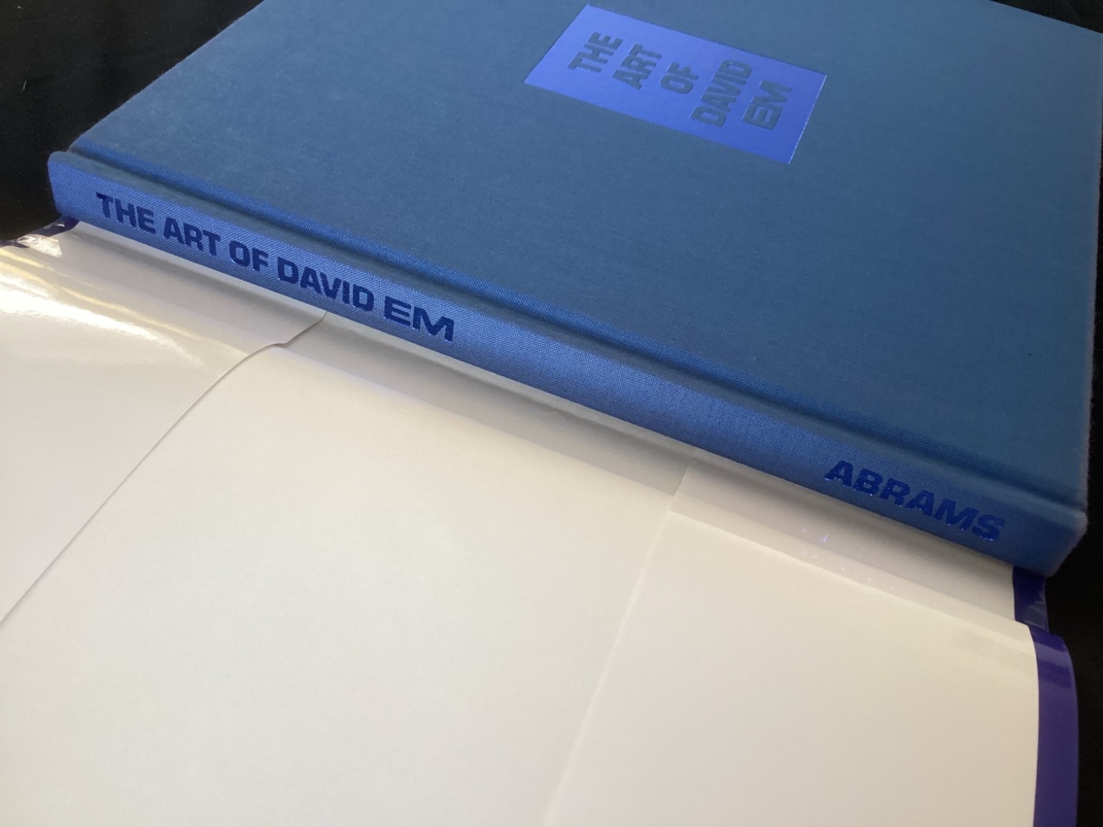 The Art of DAVID EM 100 Computer Painting Book