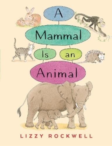 Lizzy Rockwell A Mammal is an Animal (Paperback)