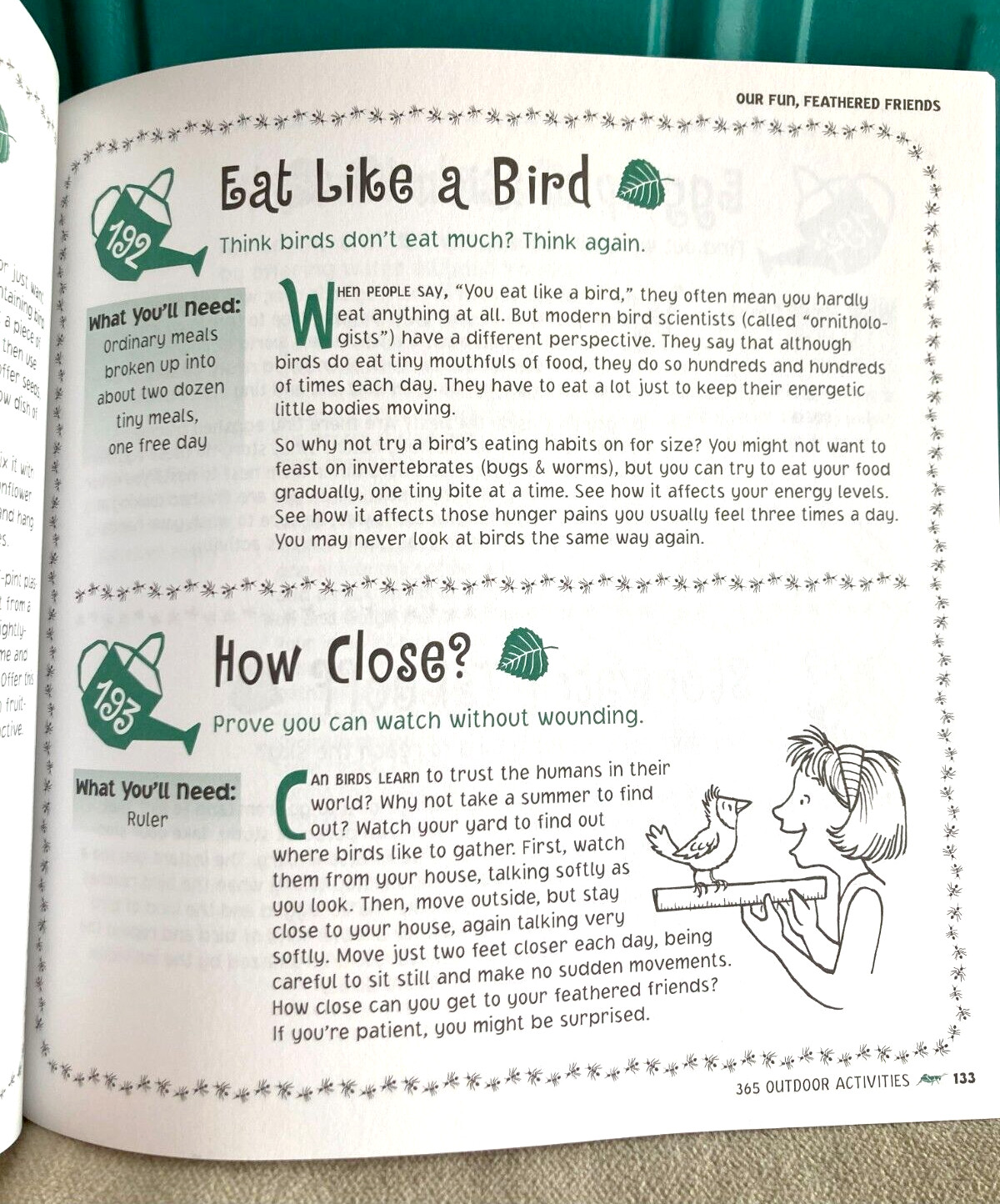 365 Outdoor Activities by Maria Birmingham, Karen E. Bledsoe, Kelly Milner Halls