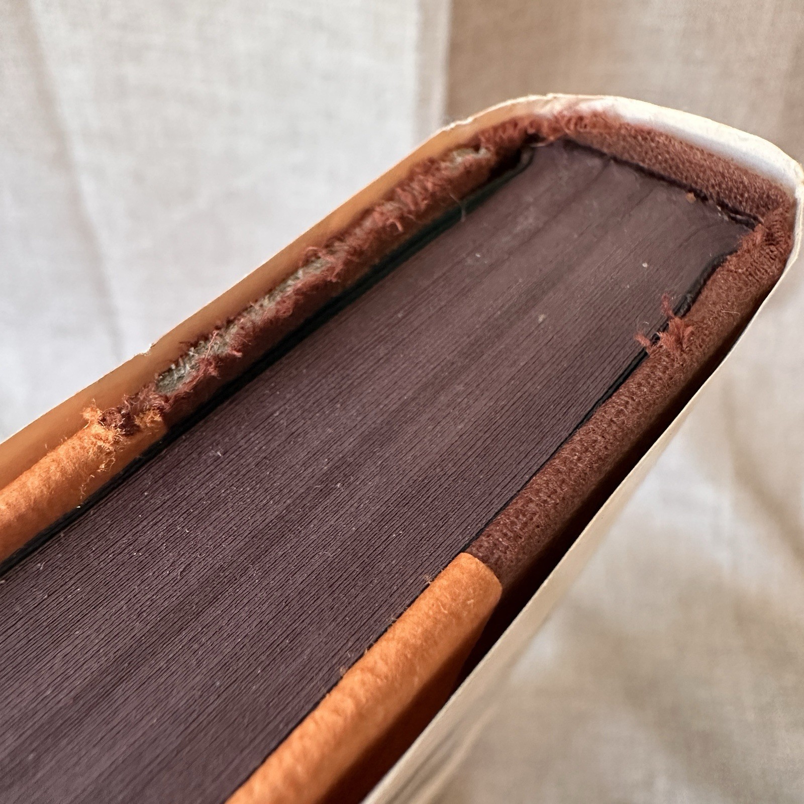 Danny The Champion Of The World Roald Dahl 1st US Edition 1st Print 1975 HC DJ