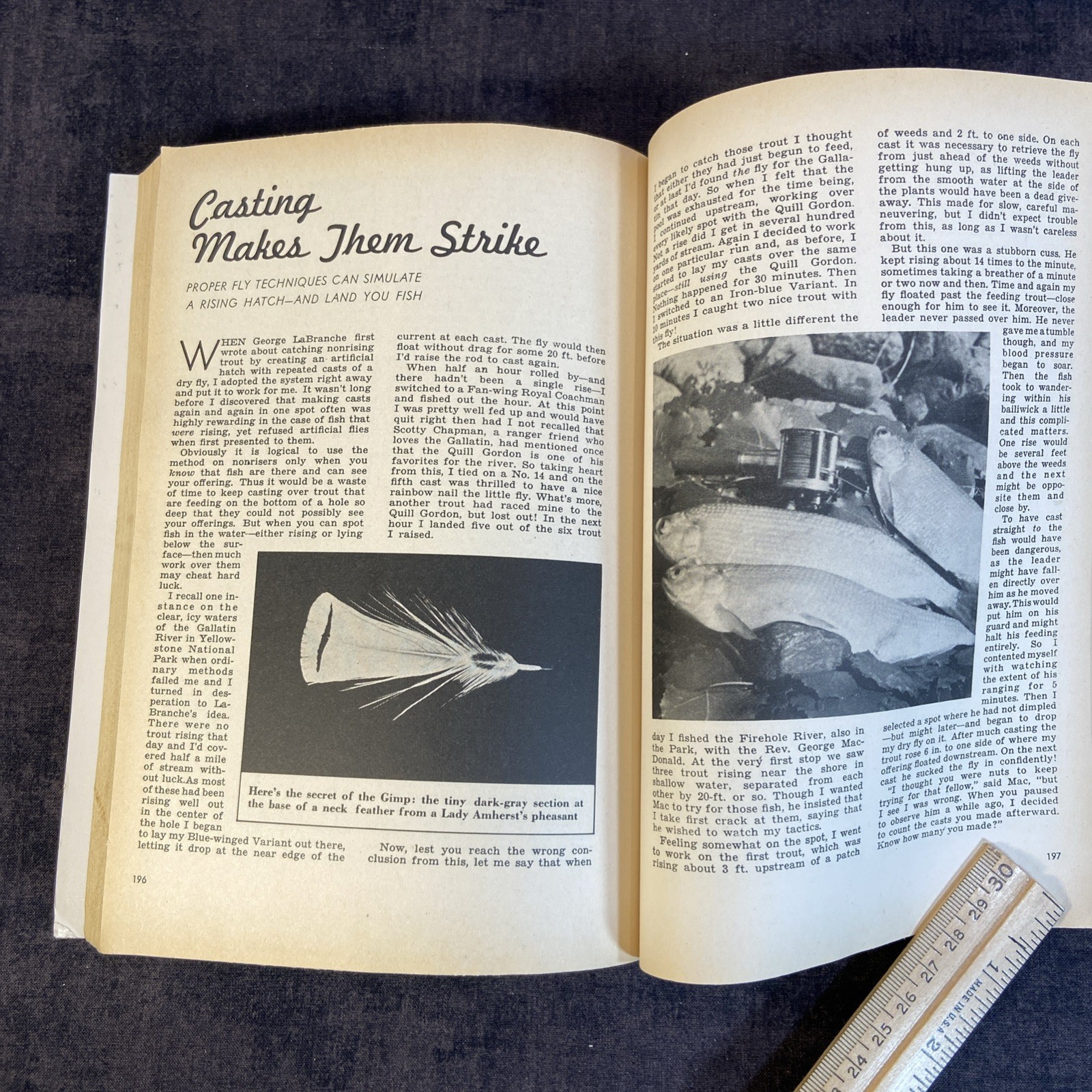 Outdoor Life -Complete Guide To Fresh Water Fishing-1952 First Edition-250 Pages