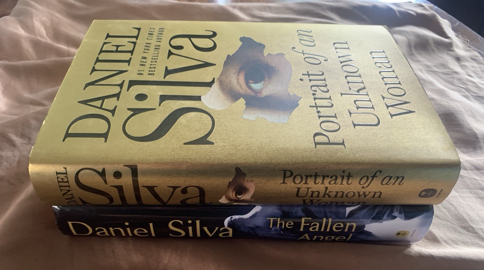 Lot Of 2 Books, The Fallen Angel, and Portrait of An Unknow Daniel Silva SIGNED