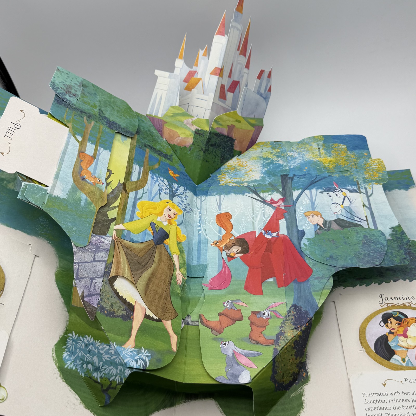 Disney Princess A Magical Pop-Up World by Matthew Reinhart Hardcover Book