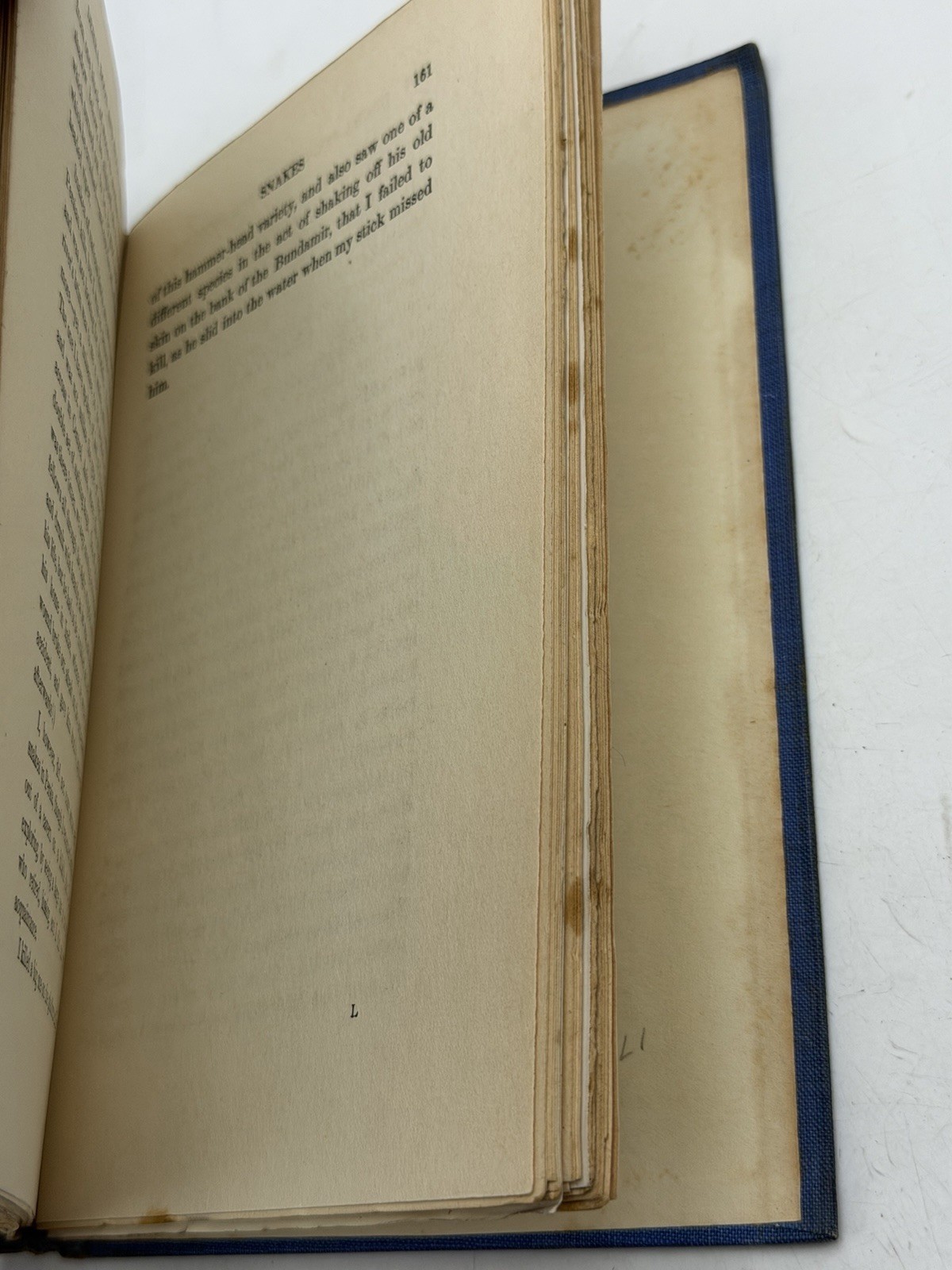 RIFLE, ROD, AND SPEAR IN THE EAST – FIRST EDITION BY SIR EDWARD DURAND
