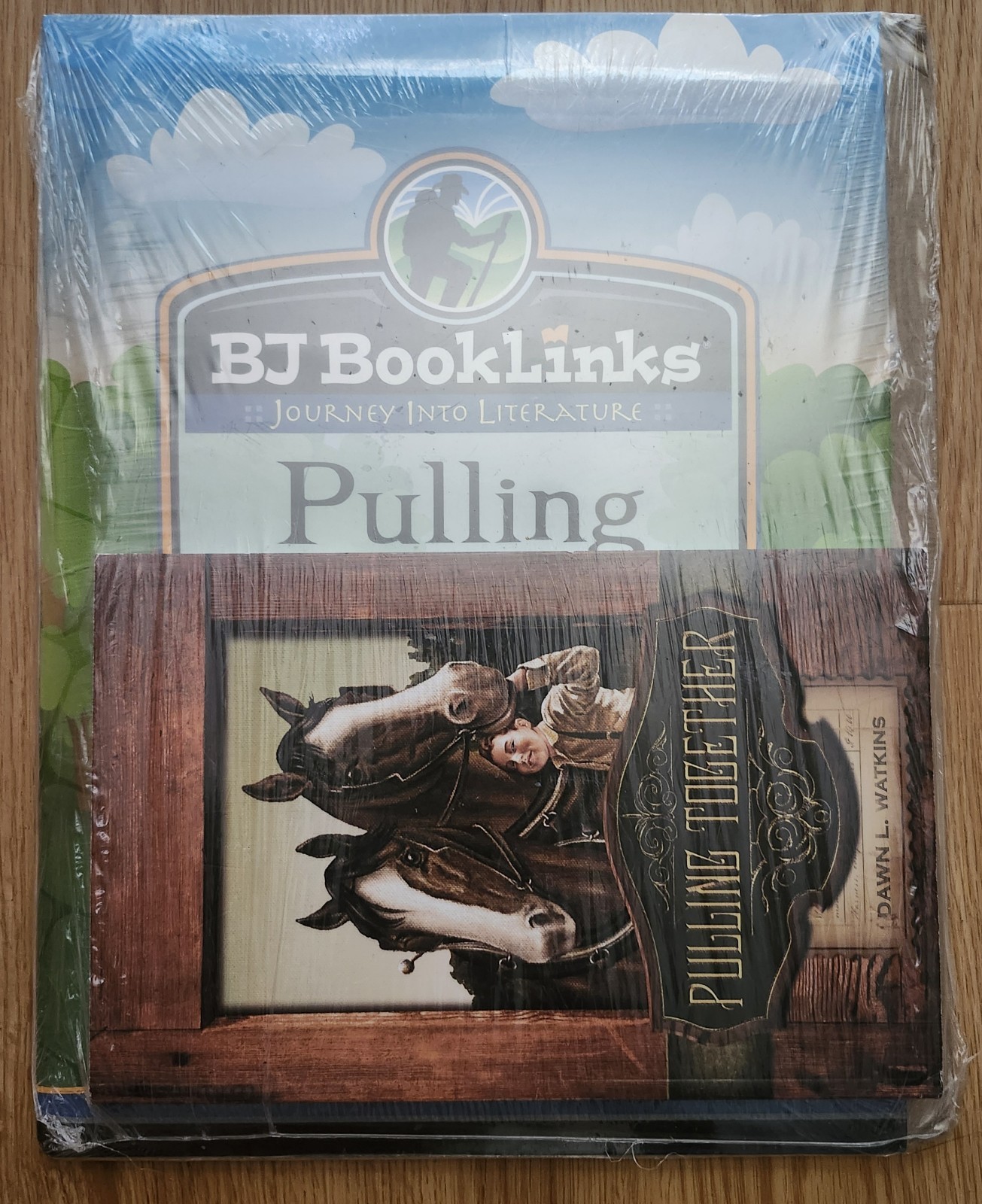 3 BJU Booklinks Pulling Together These Are My People Case Of The Dognapped Cat