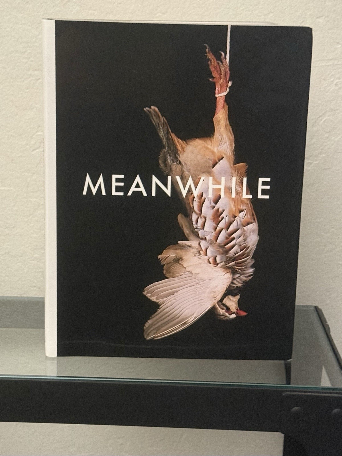 Shirana Shahbazi: Meanwhile by Shirana Shahbazi 2008 Hardcover / DJ