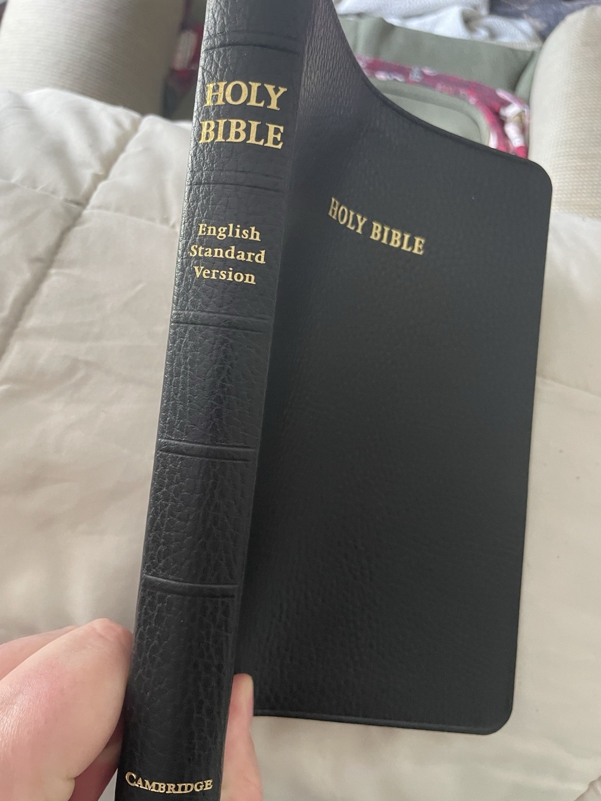 ESV Diadem Bible Black Calfsplit Leather Cambridge