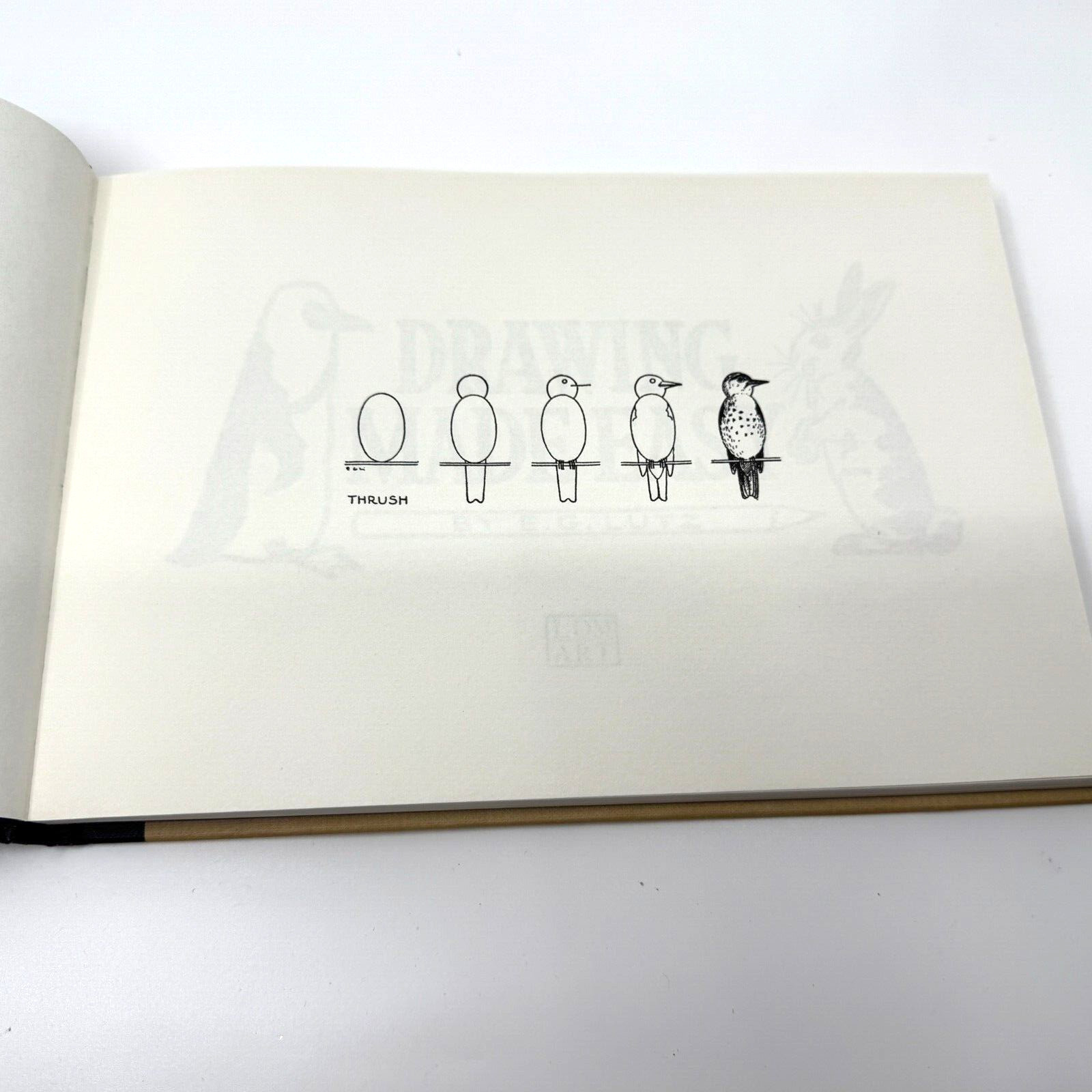 Drawing Made Easy by E.G. Lutz, Hardcover/ISBN 9781910552209