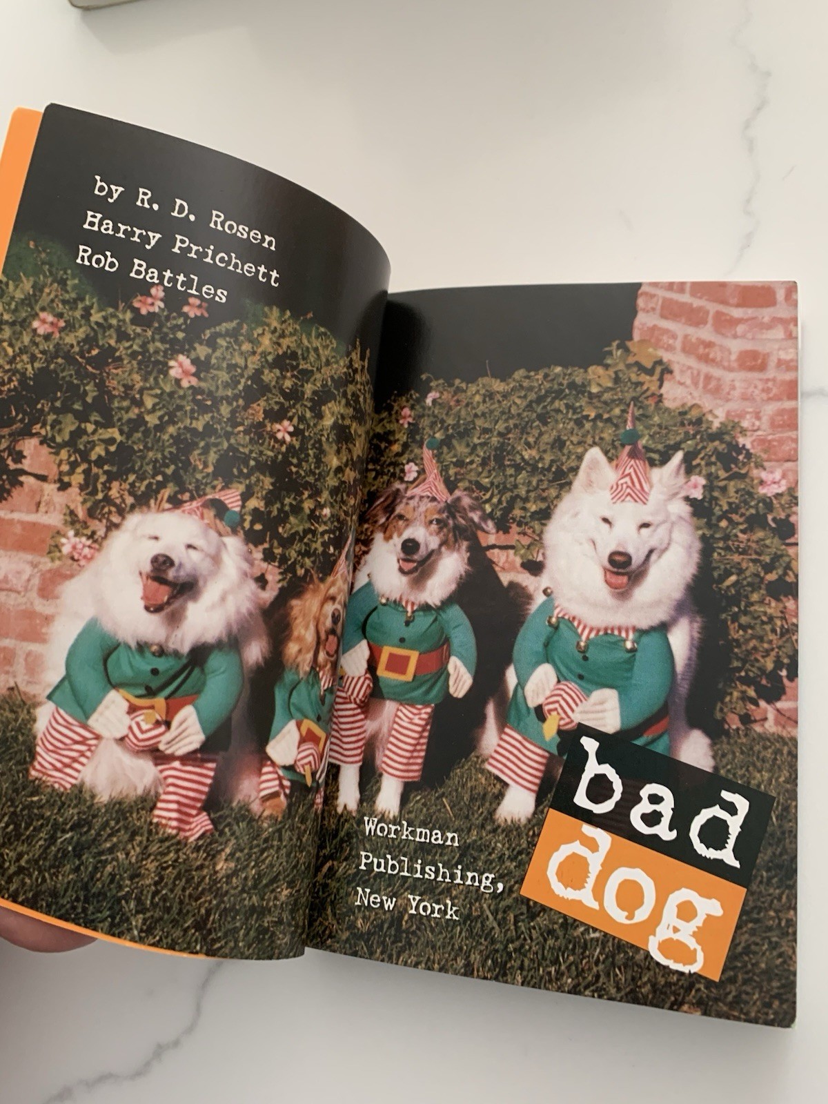 Bad Dog: 278 Outspoken, Indecent, and Overdressed Dogs by R.D. Rosen, Harry Pri