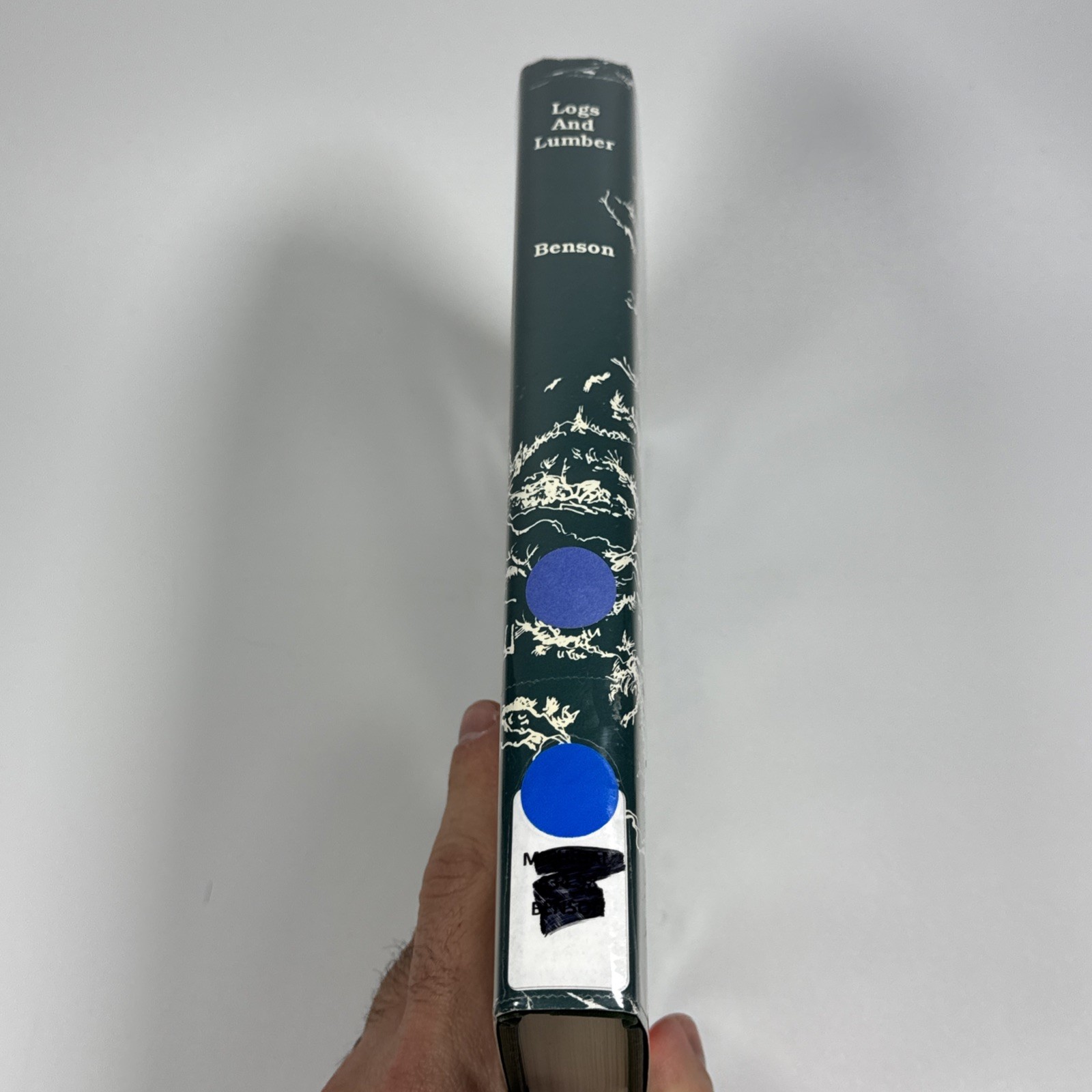 Logs and Lumber by Barbara E. Benson (Clarke Historical Library, 1989)