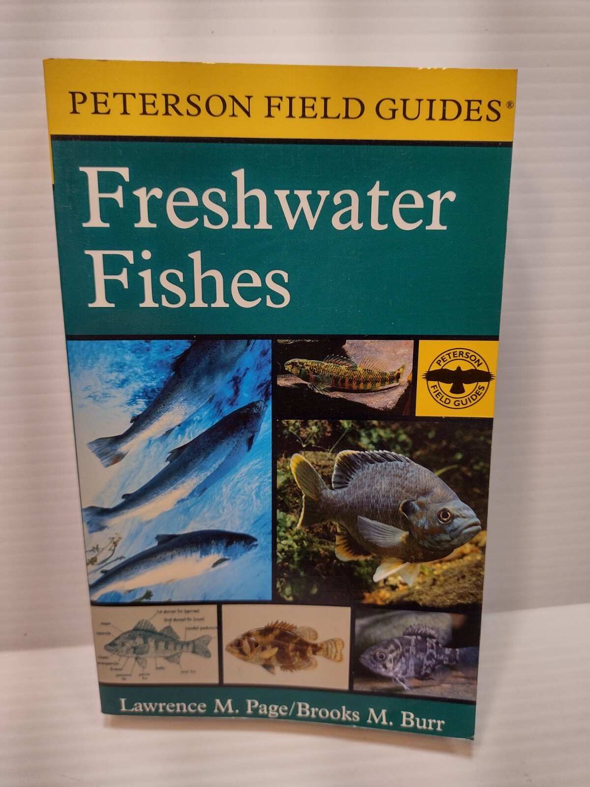 Peterson Field Guides: Freshwater Fishes by Lawrence Page & Brooks Burr