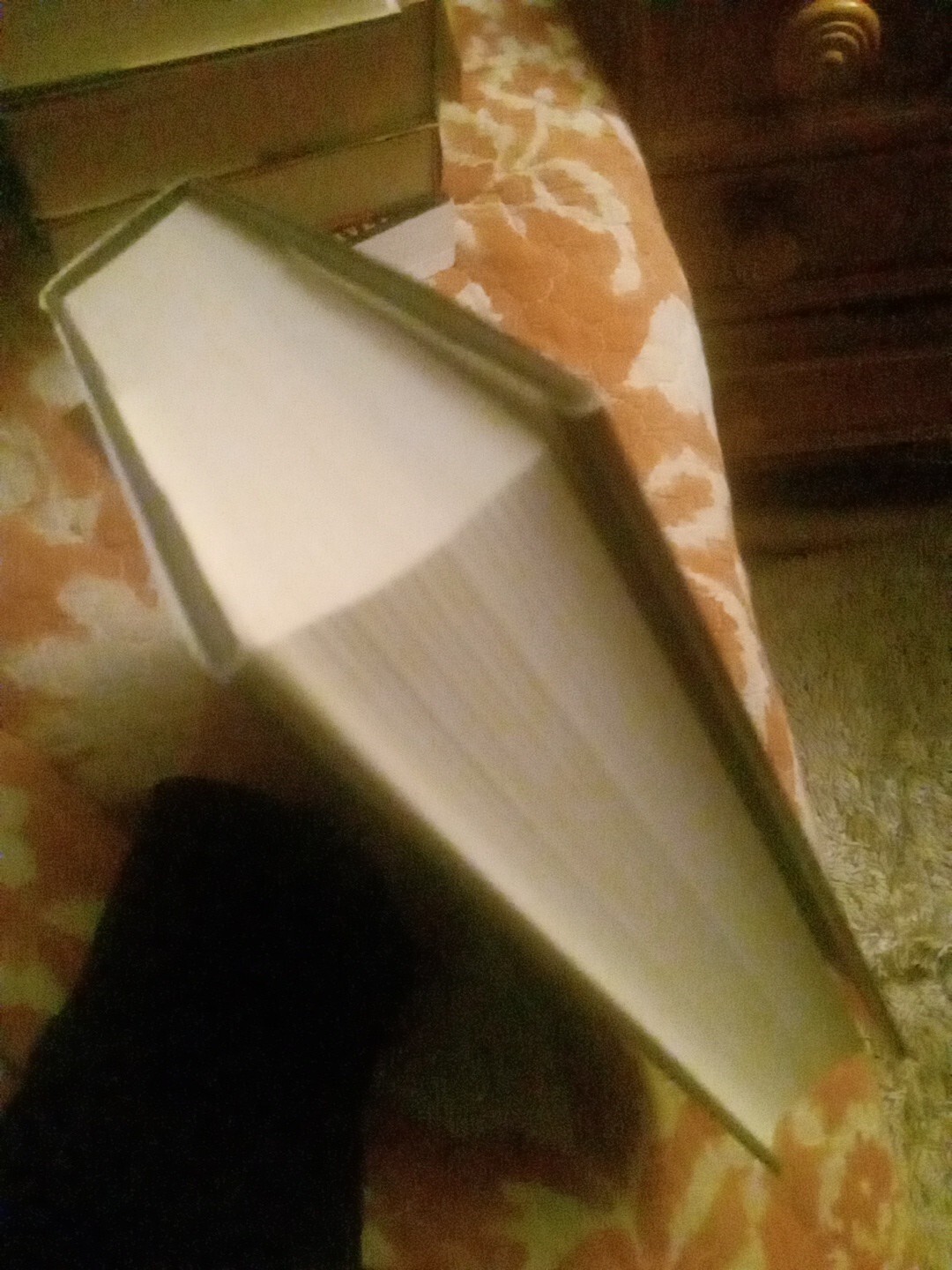 Fallen Founder : The Life of Aaron Burr Hardcover Nancy Isenberg