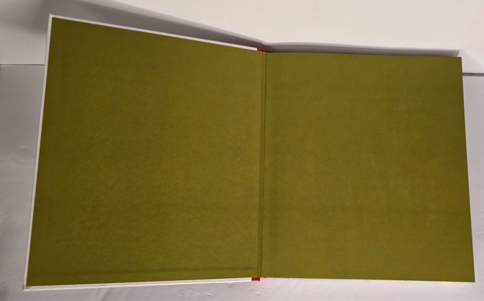 Painting After All Gerhard Richter (Hardcover)