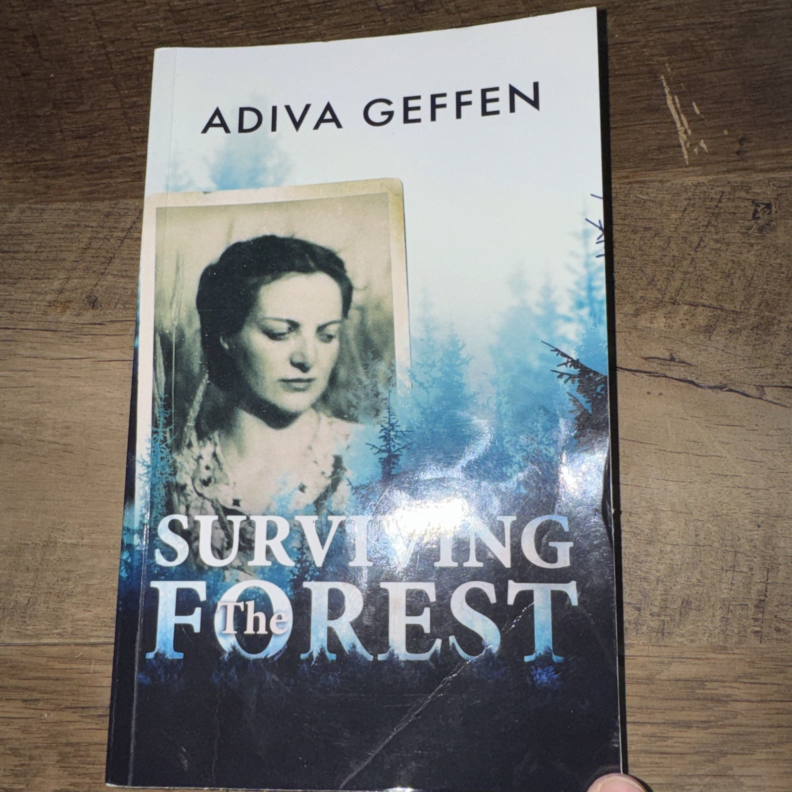 Surviving the Forest by ReadMore ReadMore Press and Adiva Geffen (2019,
