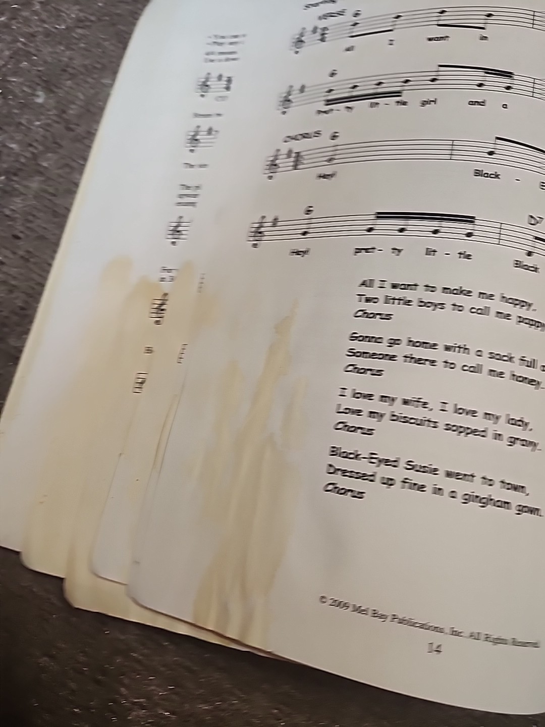 101 Three-Chord Children’s Songs for Guitar, Banjo and Uke by Larry McCabe.